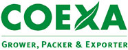 COEXA Logo